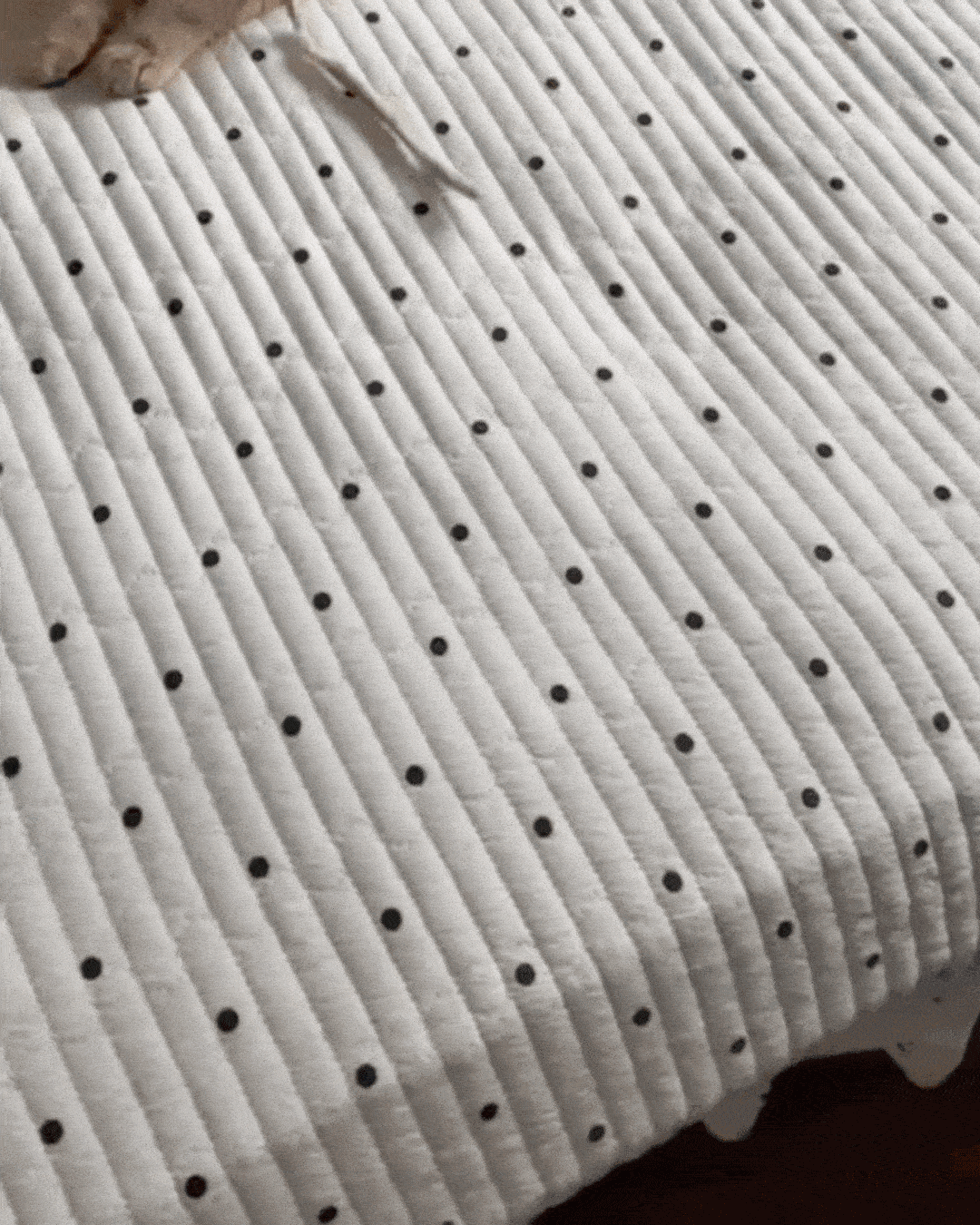 Pet Hair Removal Gloves (Pack of 2)